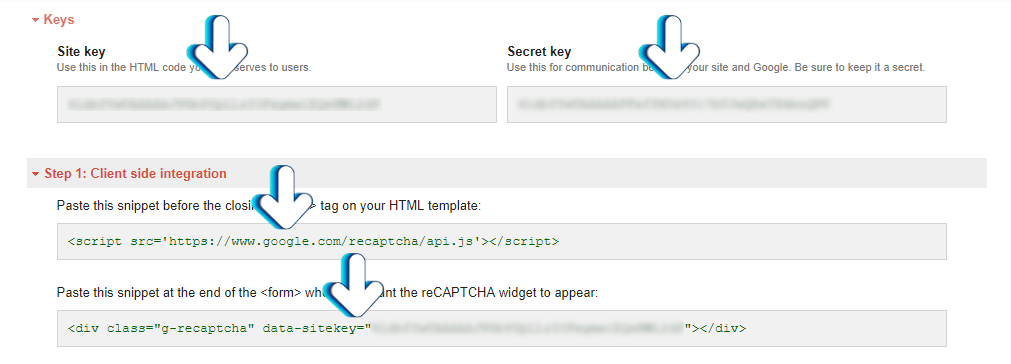reCAPTCHA API Keys and code example