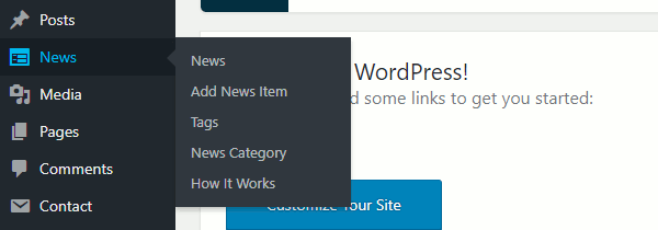 News Plugin Options